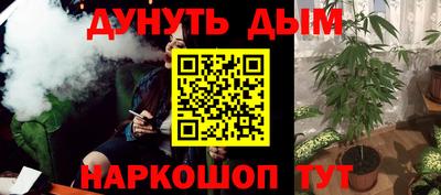 стаф Пенза