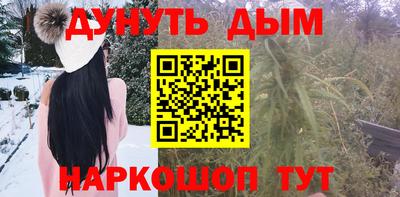 стаф Пенза