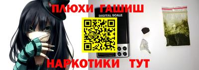 стаф Пенза