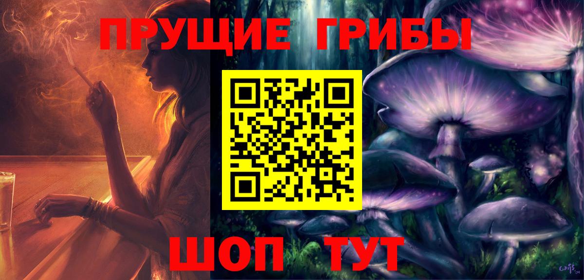 Псилоцибиновые грибы Psilocybe  Псилоцибиновые грибы мицелий  Вход с VPN  Ревда 
