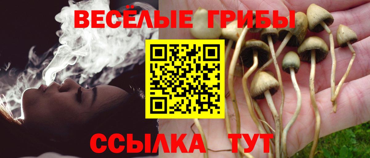 Галлюциногенные грибы Psilocybine cubensis Ревда